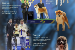 CASAL CAMPEÃO MUNDIAL 2022 - 1