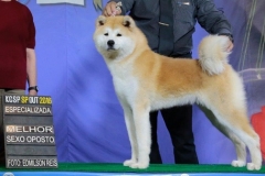 Daiya Go Uzumaki
